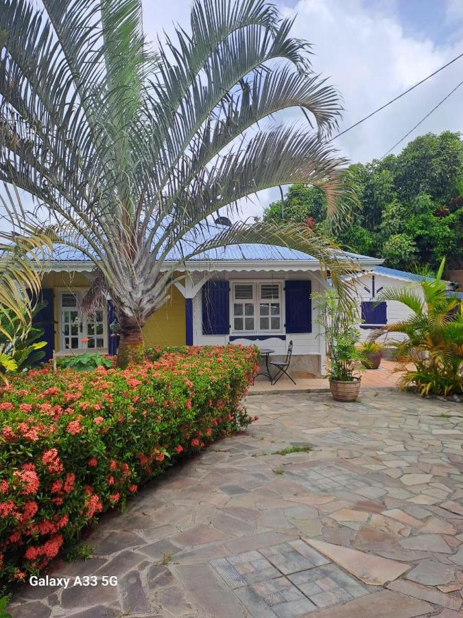 Le pain de sucre - B&B Marigot
