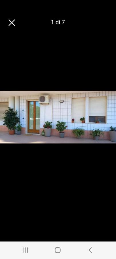 Verde Sole - B&B Montalbano