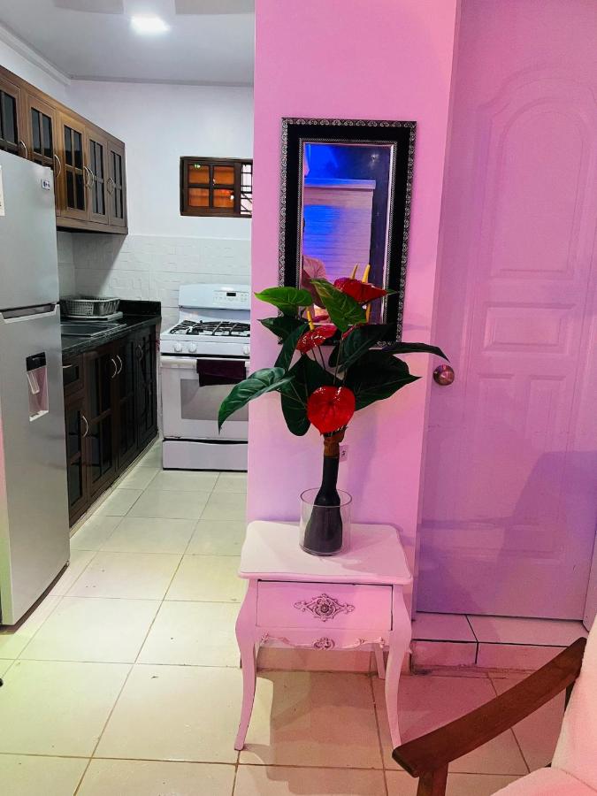 Style and comfort in downtown Santiago - Ferienwohnung Santiago de los Caballeros