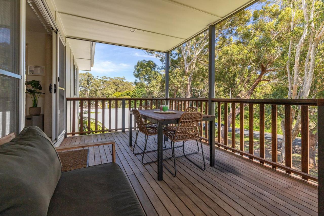 The Lazy Seal - B&B Seal Rocks