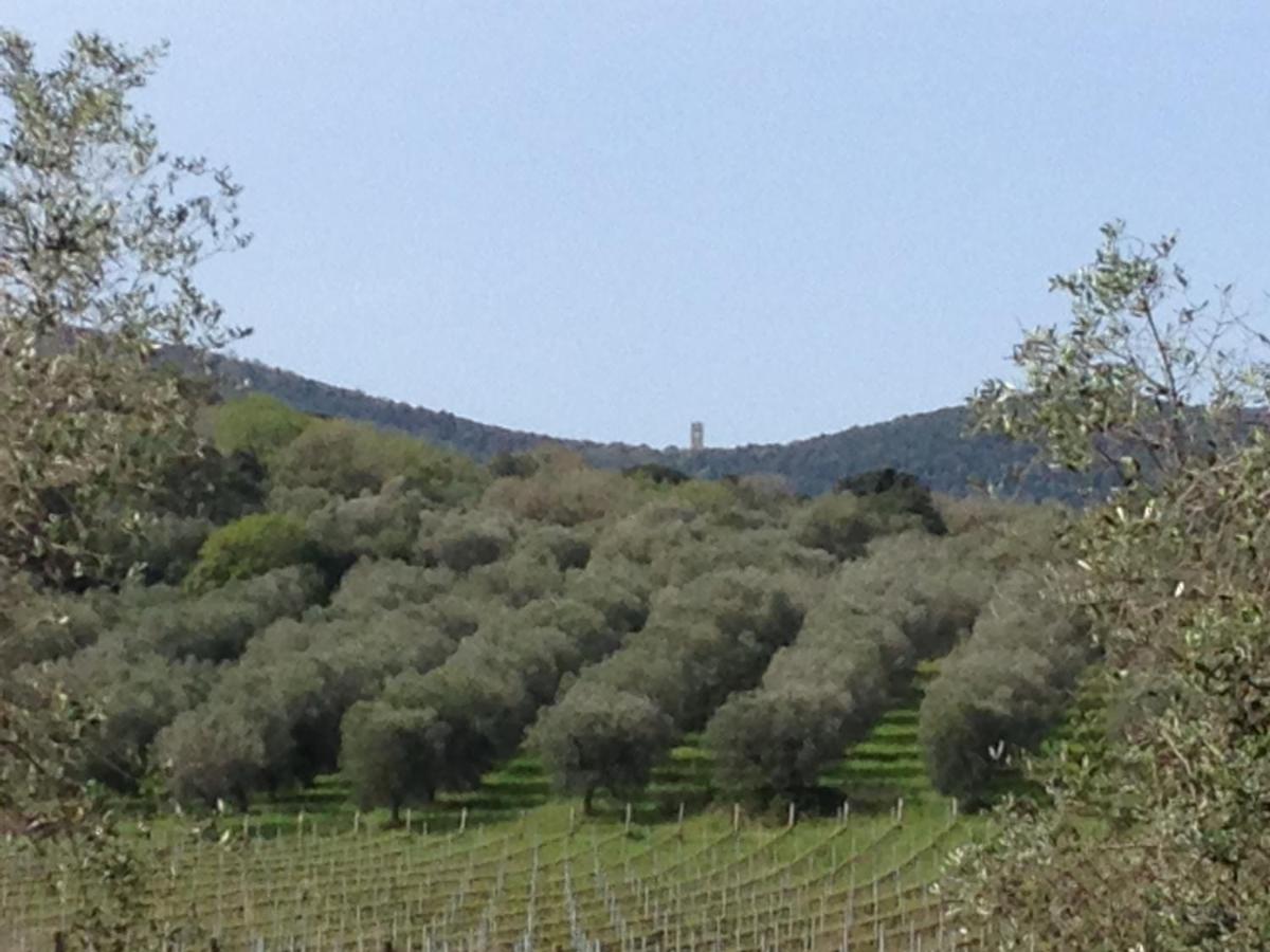 PODERE OSLAVIA AZ.AGR.BIO GIANNINI - Chambres d’hôtes