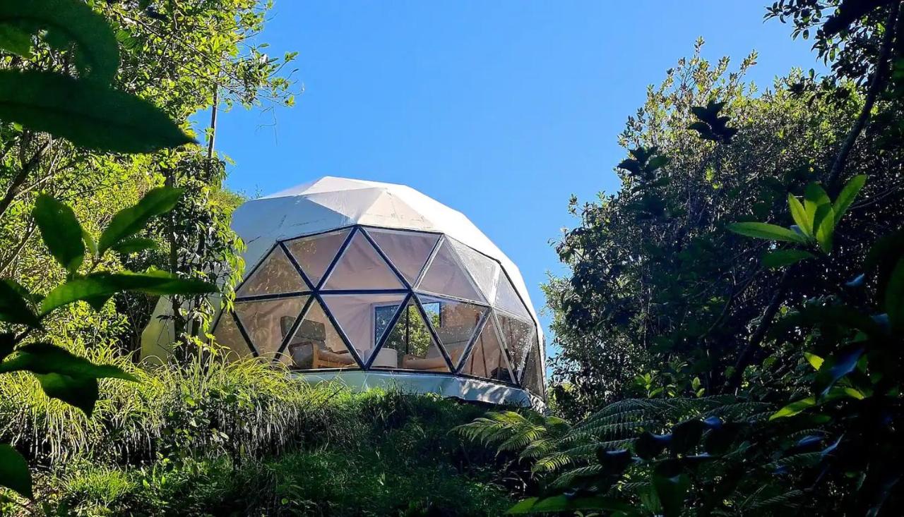 The Geodesic Dome in Pohara Golden Bay - Ferienwohnung Pohara