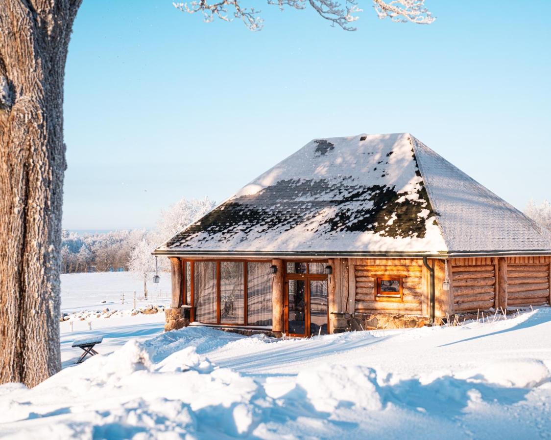 Metsapiiga Puhkemaja - Bed and Breakfast Vilina