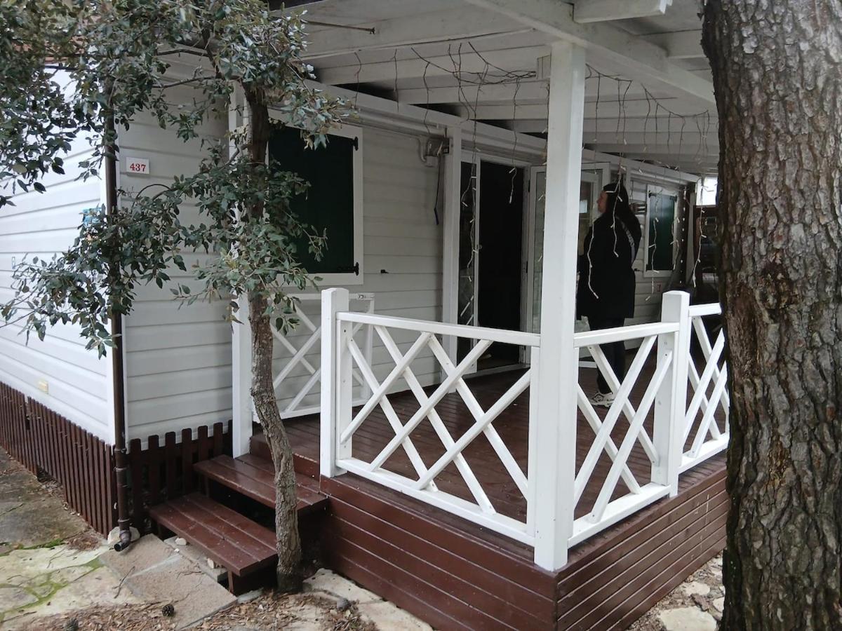 #611 Status Relax Like a Boss ex 437 - Bed and Breakfast Biograd na Moru