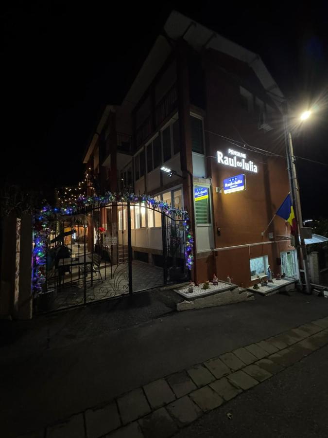 Pensiune Raul&Iulia - Chambres d’hôtes Băile Felix