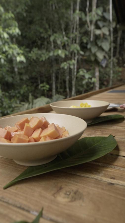 Montés Samaná - B&B San Carlos