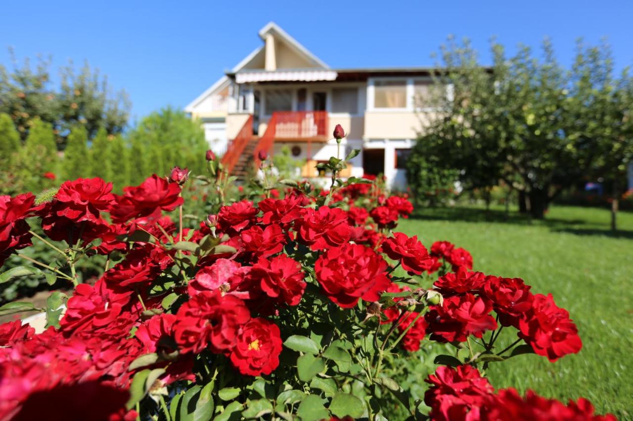 Rózsakert Vendégház - B&B Szigliget