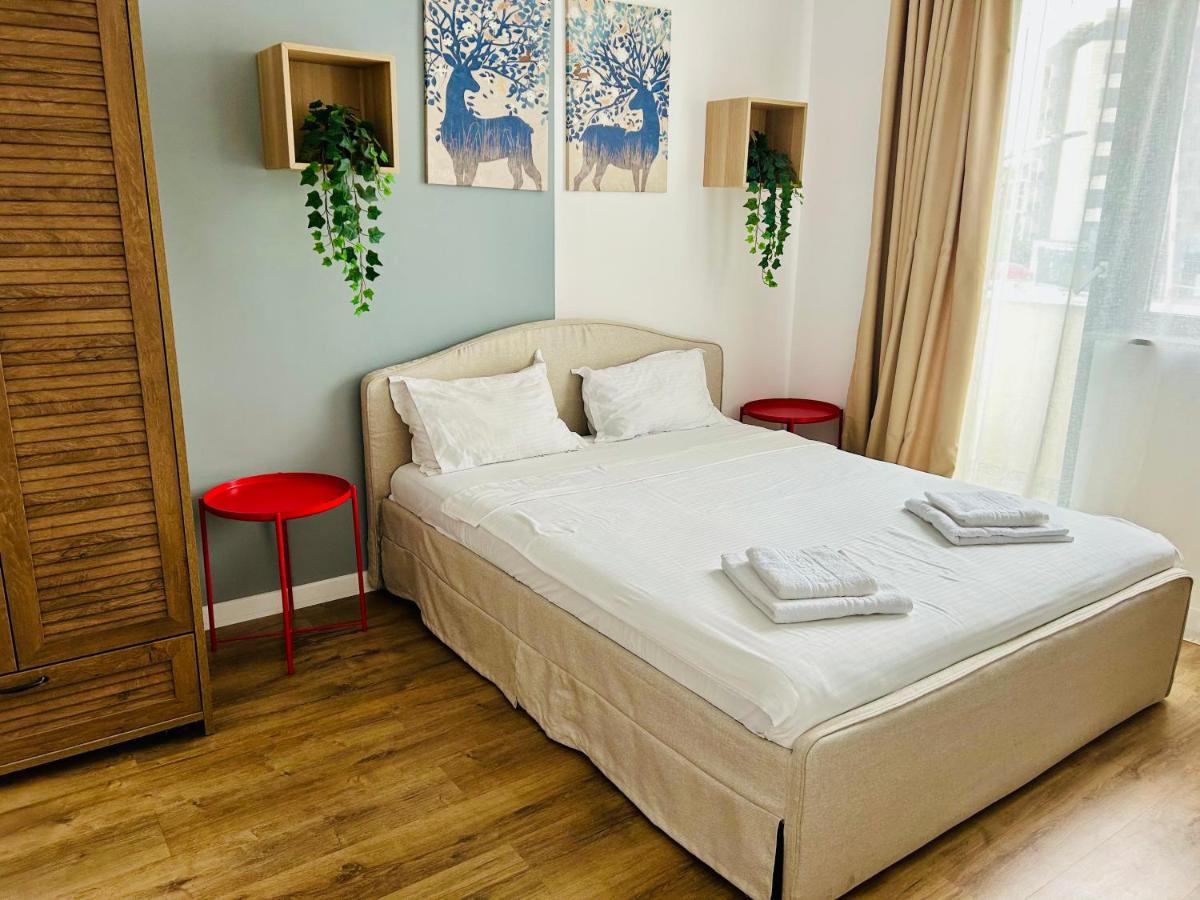 Appartement 1 Chambre