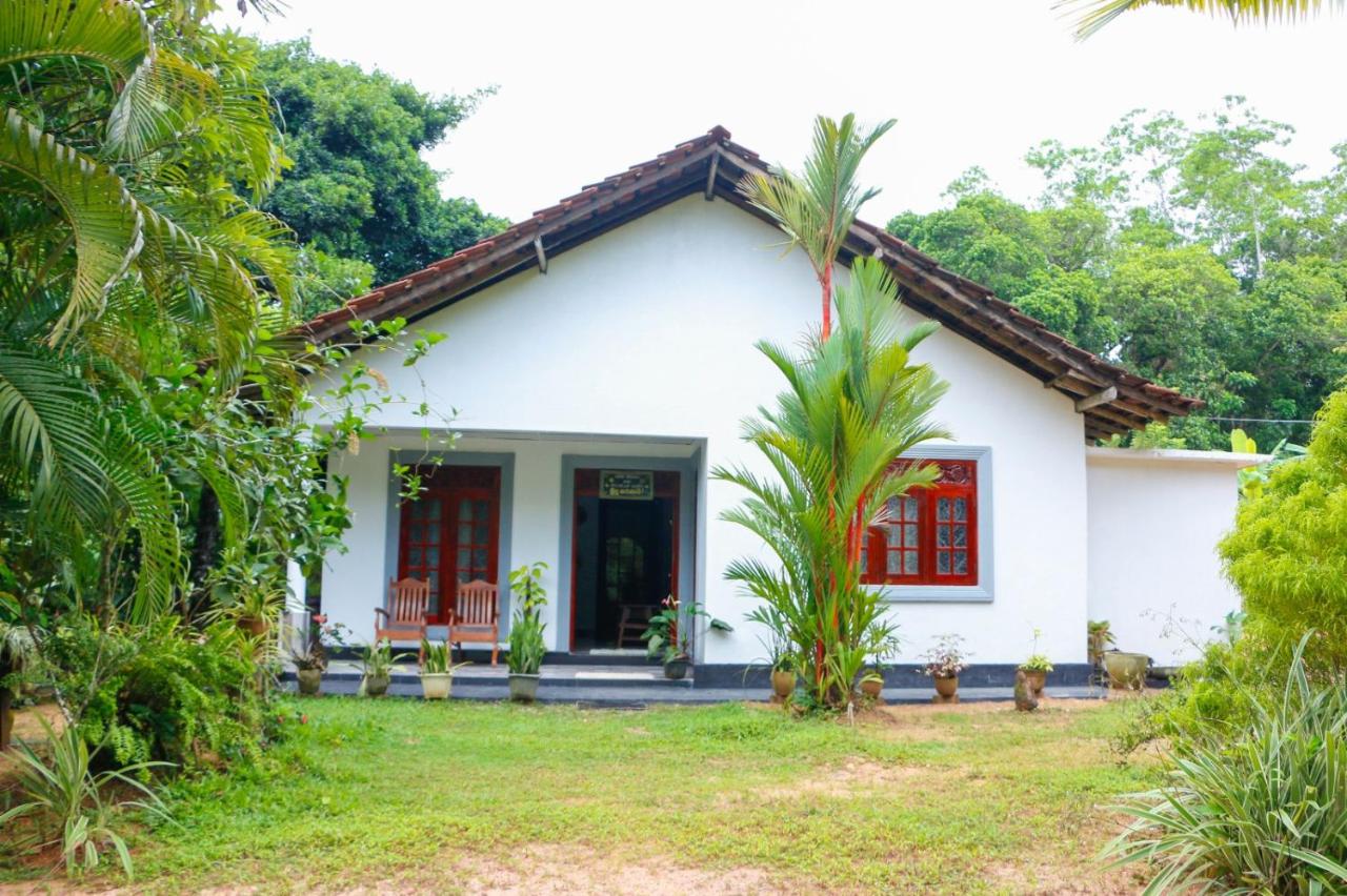 Mountain Breeze Inn Midigama - B&B Midigama