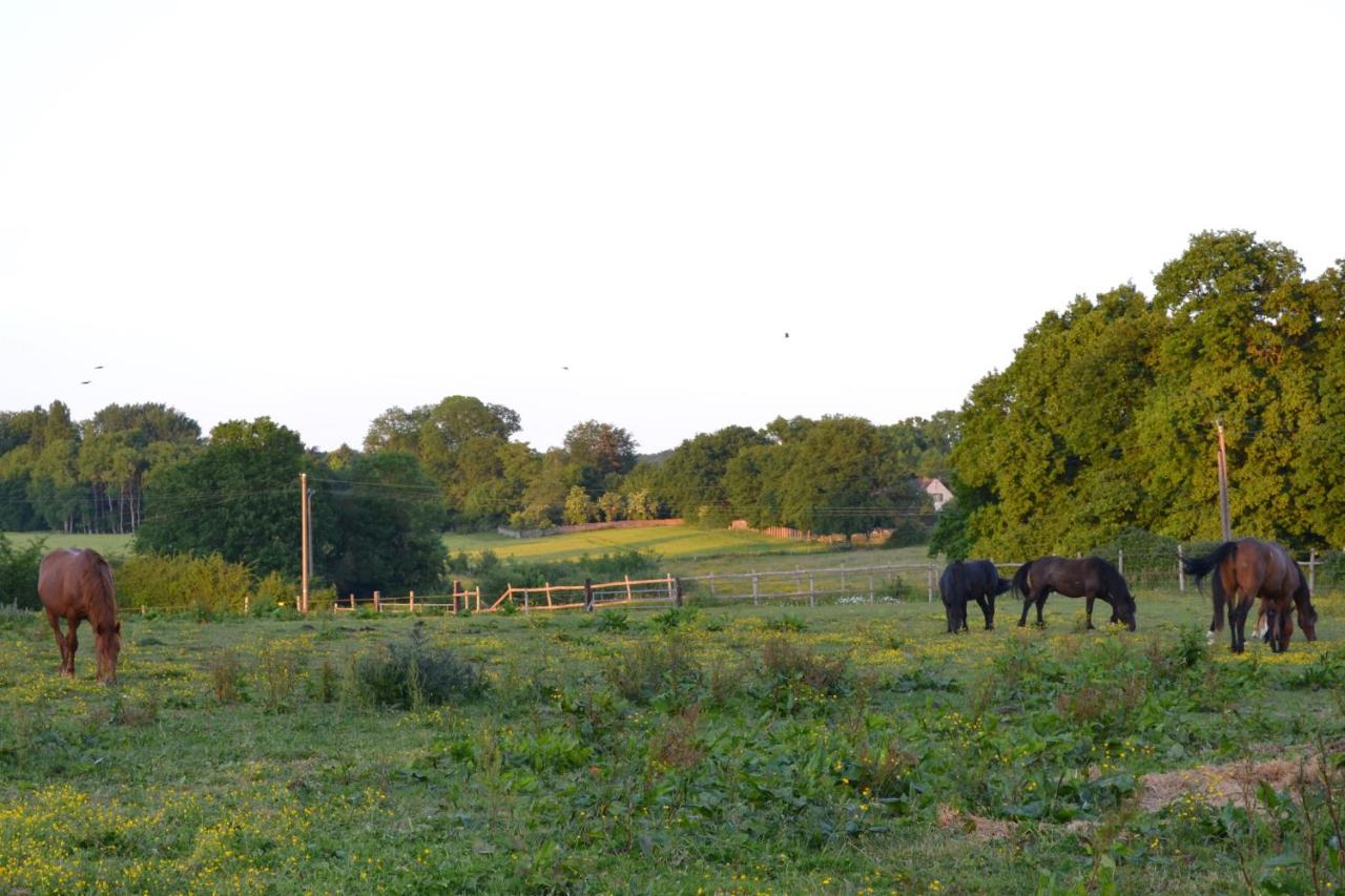 Grange habitée, nature & design - B&B Manou