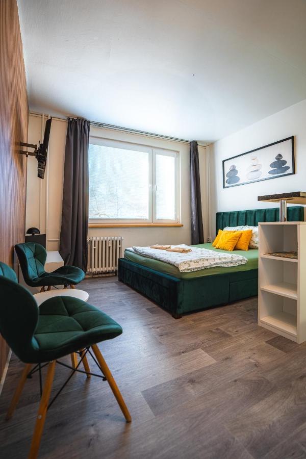 Výchozí bod pro saské Švýcarsko, pet friendly, Děčínský moderní apartmán - Chambres d’hôtes Děčín