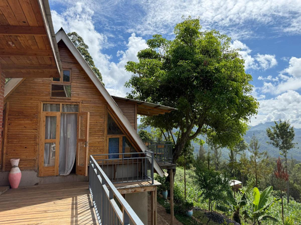 Chameleon Eco Farm Stay and Cultural Tours - Chambres d'hôtes Lushoto