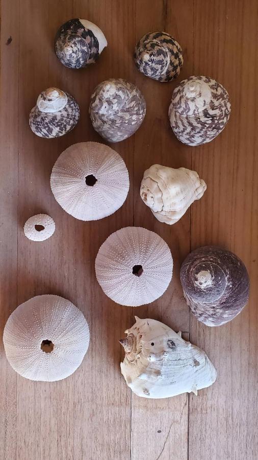 Chalet over the Caribbean sea - B&B Istmito