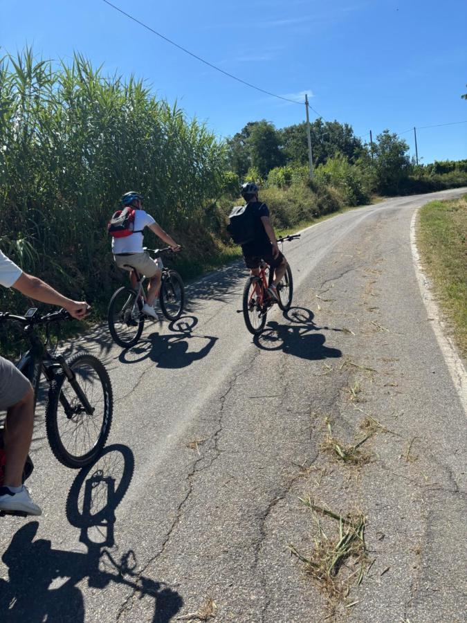 Villa Castel Rocchero - Bed and Breakfast Castel Rocchero