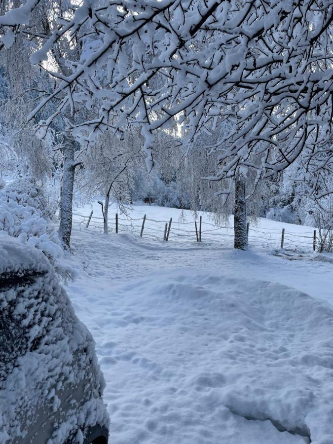 Ferienhaus Baier - B&B Eggen