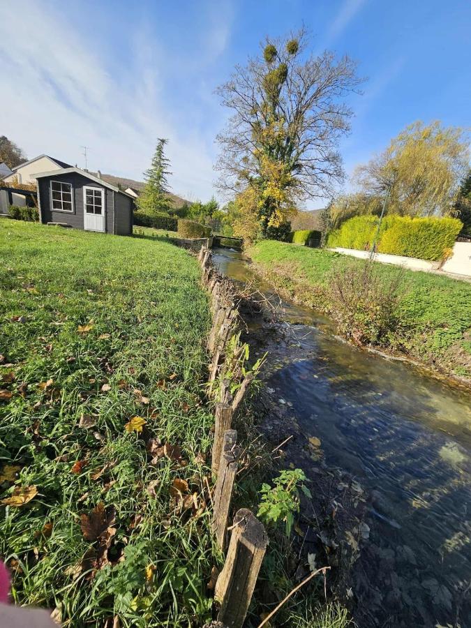 Mon pinot bord de l'eau - B&B Savigny-lès-Beaune
