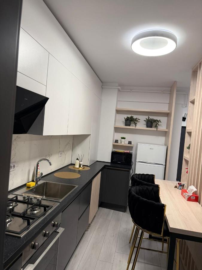 President 59 - B&B Craiova