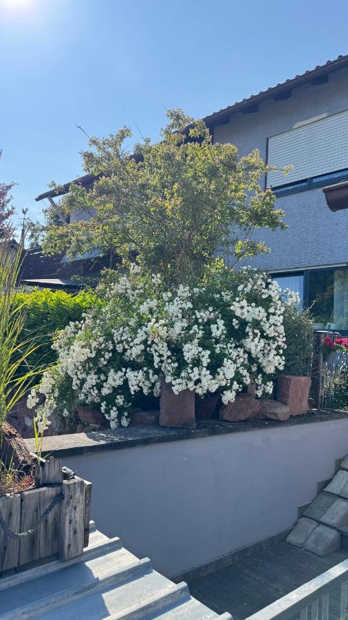 Ferienwohnung RhönKiss - Chambres d’hôtes Bad Kissingen