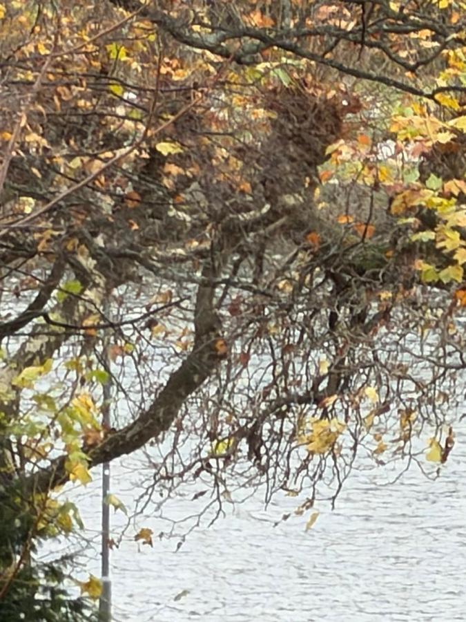 My Apartment - B&B Francoforte sul Meno