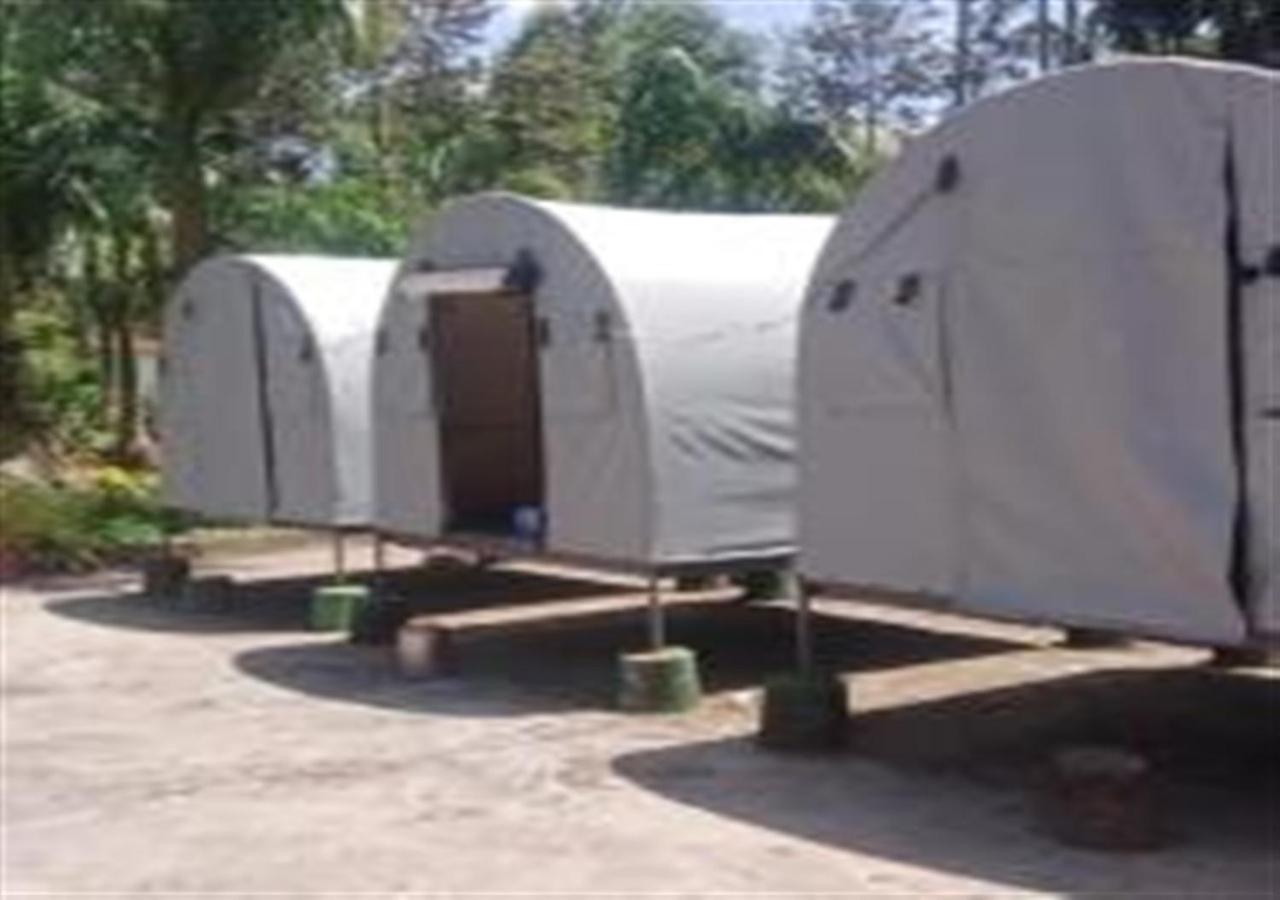 Rising Surya Homestay - Bed and Breakfast Kushālnagar