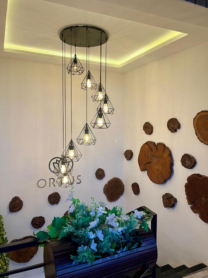 Ortus - Murree Hills - B&B Murri