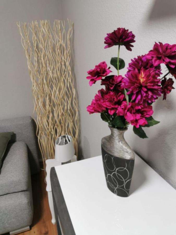 Wohnung Jamie - B&B Haitz