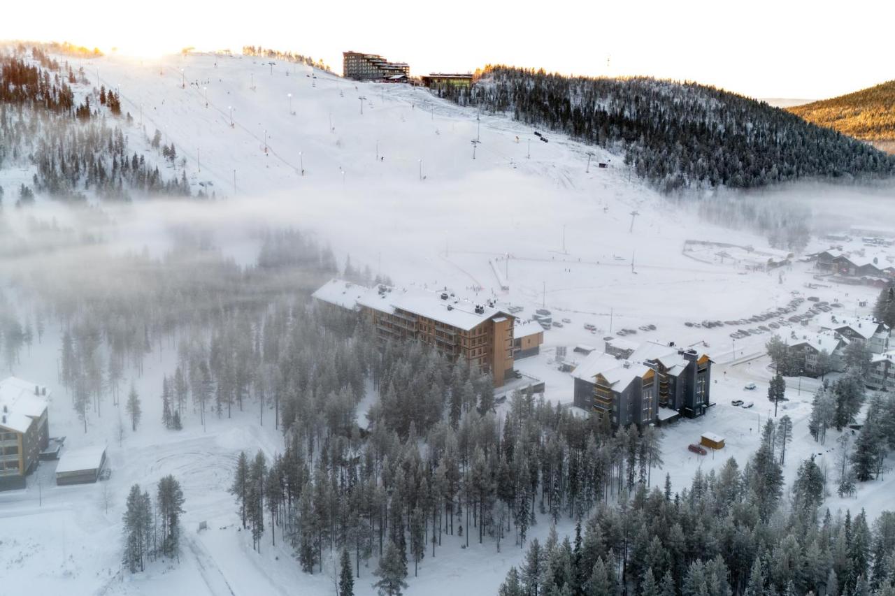 Le Chalet Lingonberry D10 Ski-in Ski-out by Aavalevi - B&B Levi