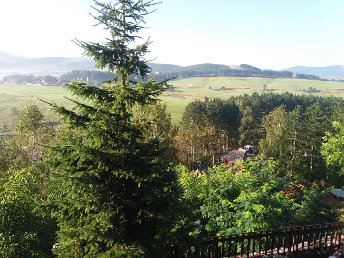 B&B Zlatibor - Apartment Zlatibor Vesna - Bed and Breakfast Zlatibor