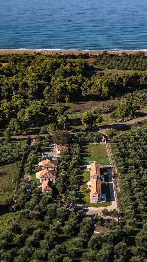 Asfendamos - B&B Zacháro