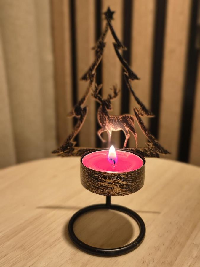 Apartament Krynica Central - B&B Krynica-Zdrój