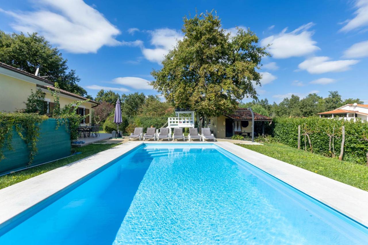 Villa Miranda in heart of Istria - Chambres d’hôtes Sveti Petar u Šumi