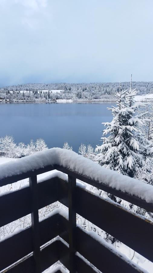 Refuge du Renard au Bord du Lac - B&B Malbuisson