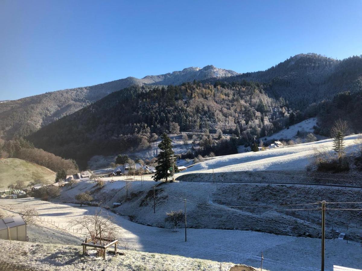 Daislehof - B&B Münstertal, Black Forest