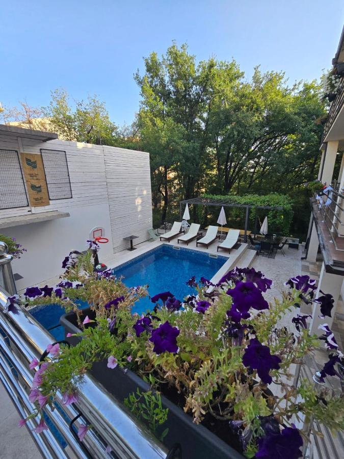 Apartments TP 777 - B&B Budua