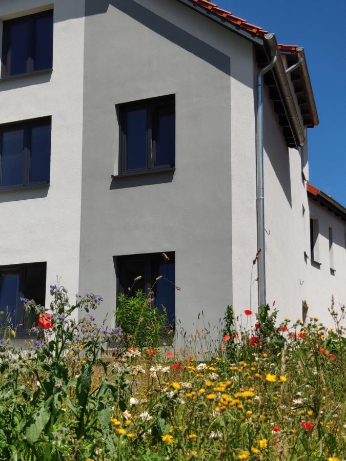 NaturZeit in Brunkensen - B&B Brunkensen