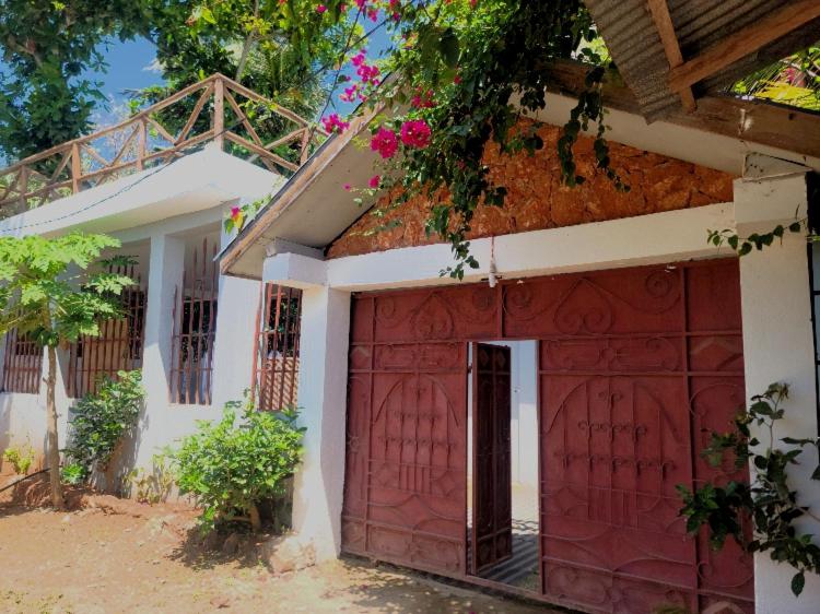 Jabulani House Rooms - Bed and Breakfast Kendwa