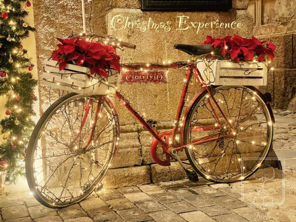 Il Casanova - Chambres d’hôtes Tropea