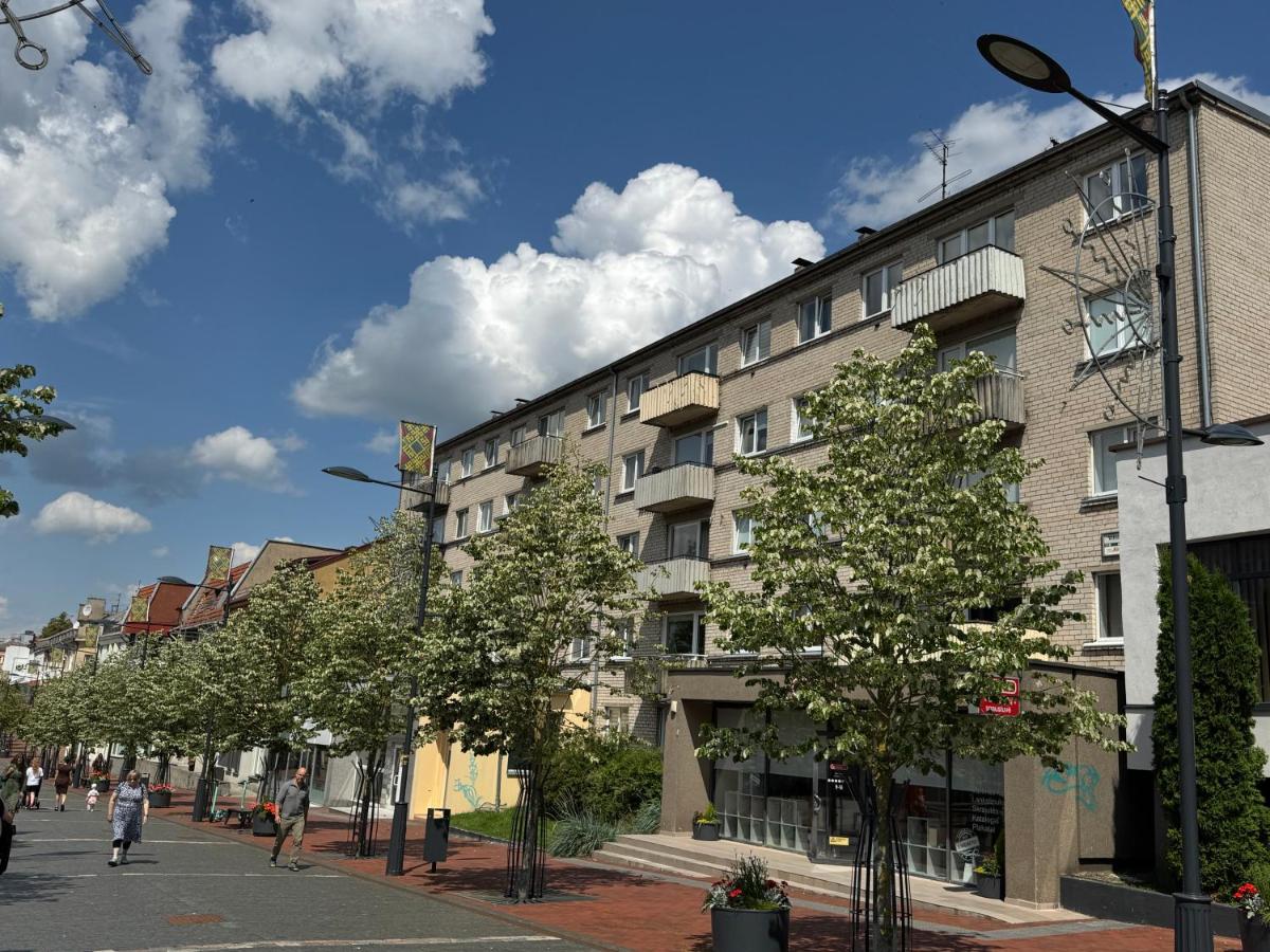 Central apartament II - B&B Šiauliai