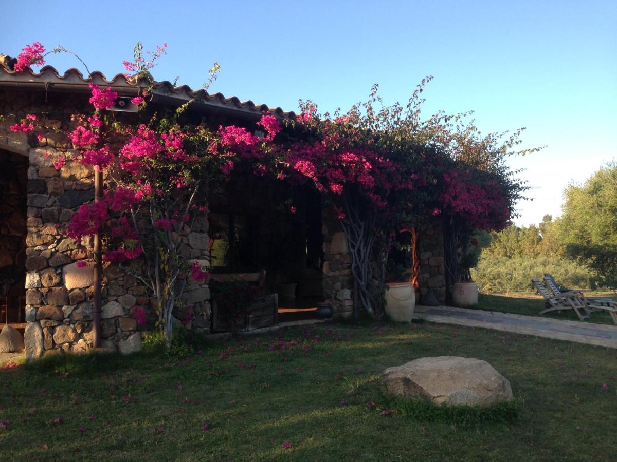 Agriturismo Sarrabus - B&B