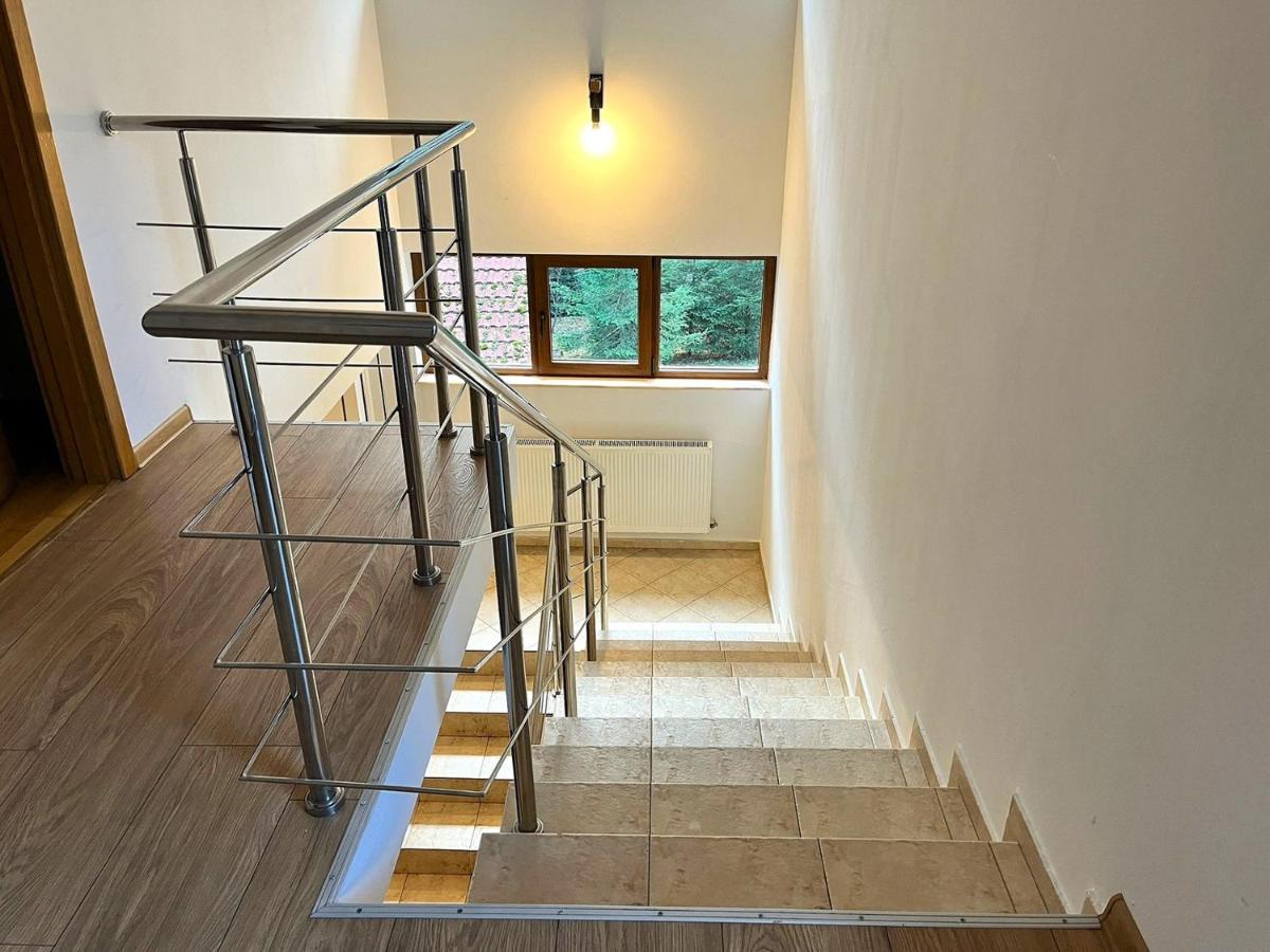 5th Forest Villa – Family Retreat, Garden & BBQ - B&B Predeal