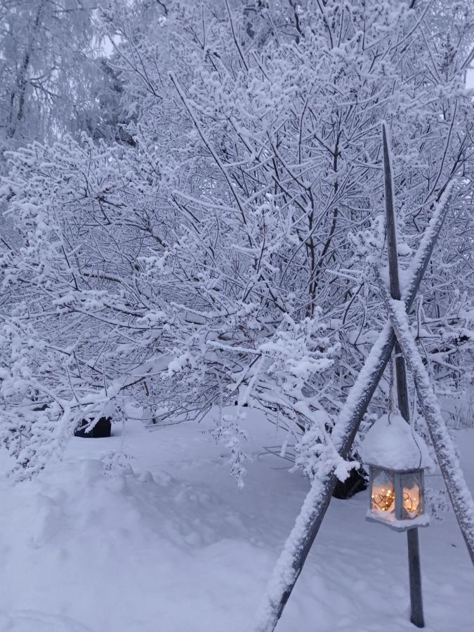 Lapland winter house - Ferienwohnung Rovaniemi