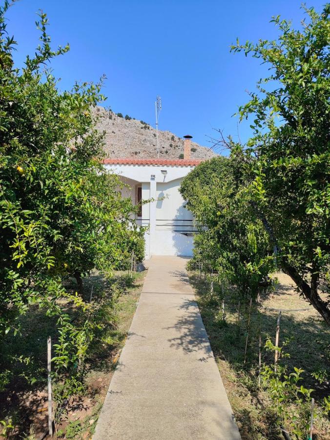 Kolymbia home - B&B Kolymbia