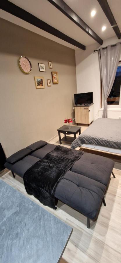 Chic & Design Studio for 3 people - B&B Thonon-les-Bains