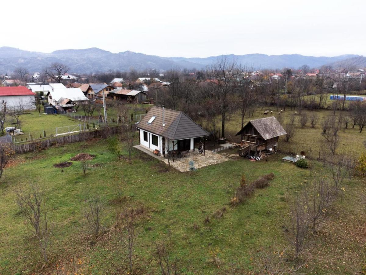 Brebu Holiday House - Bed and Breakfast Brebu Mânăstirei