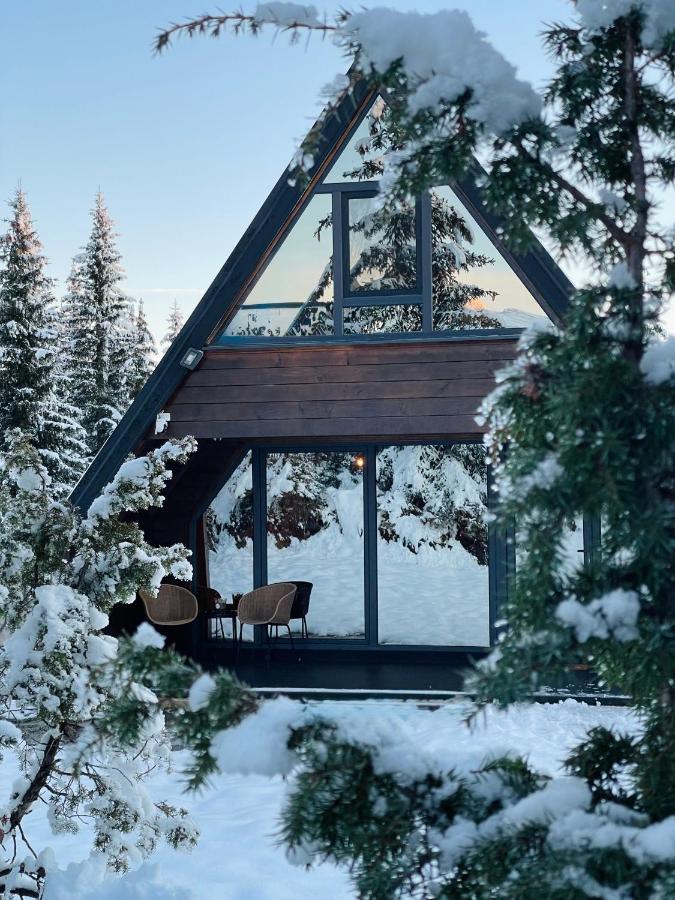 Mountain homes Durmitor 3 - B&B Žabljak