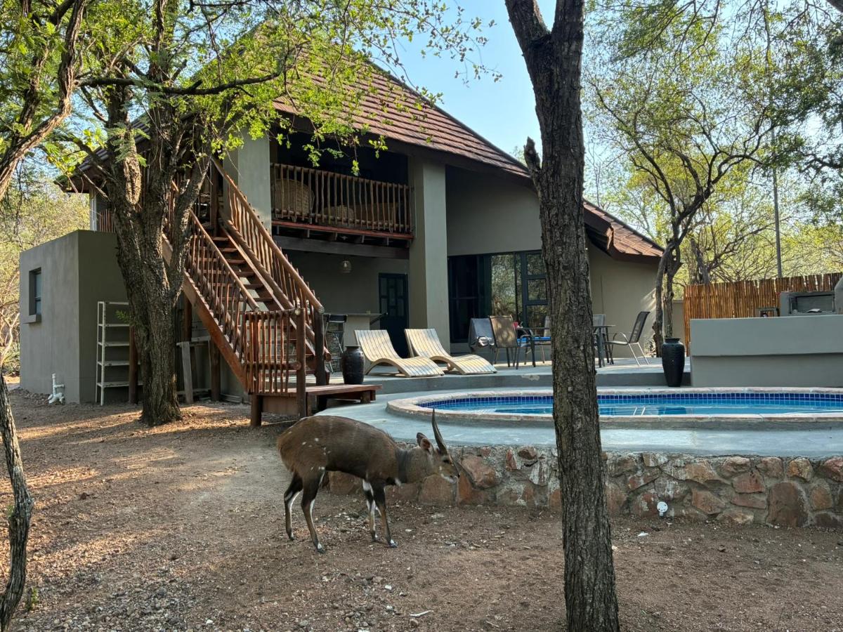 Giraffe Bush - B&B Marloth Park