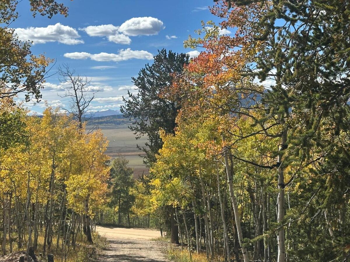 Serene and Peaceful Cabin 50 mins to Breckenridge - B&B Jefferson