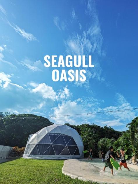 seagull oasis - Vacation STAY 20620v - B&B Imadomari