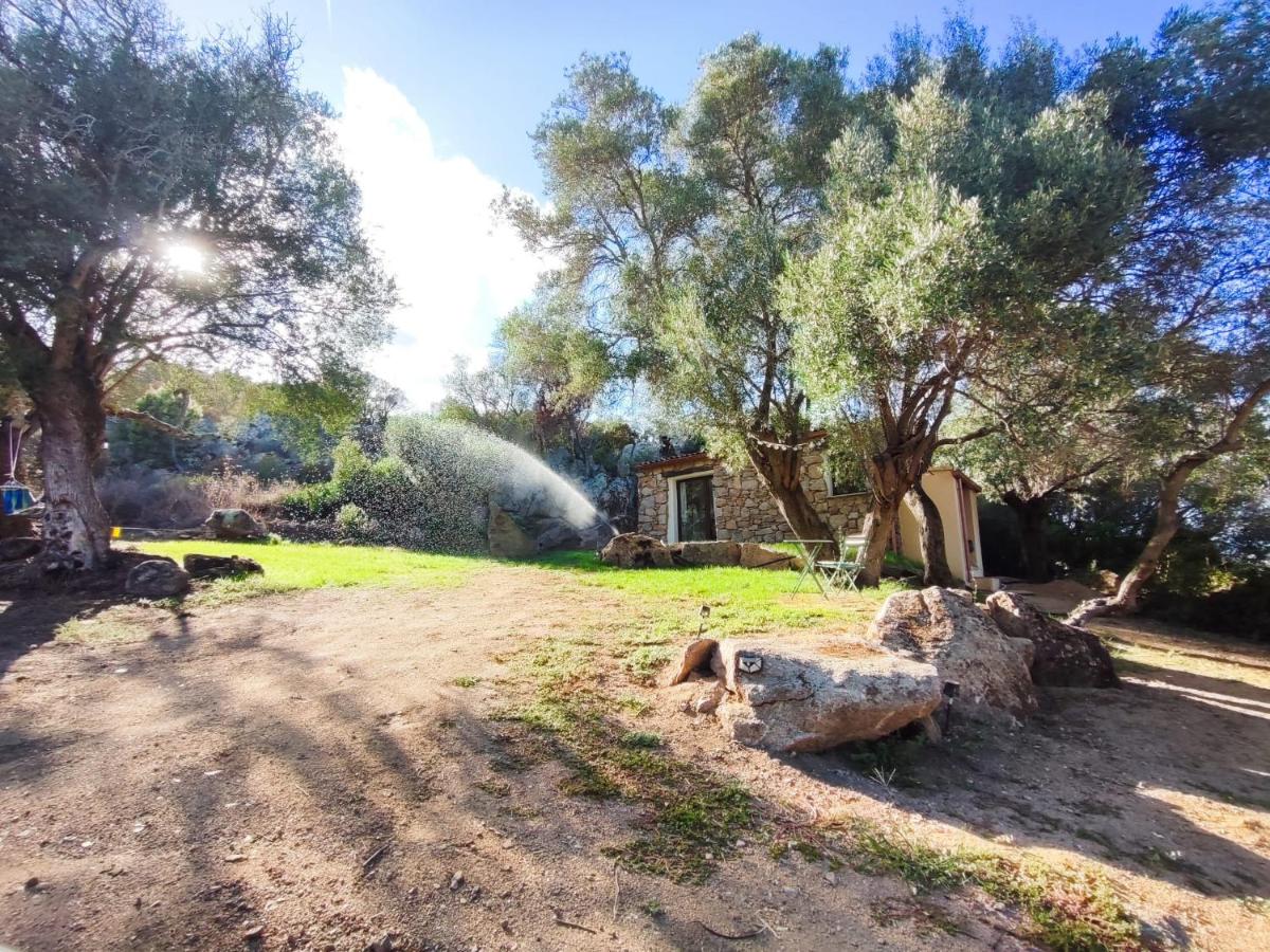 Smeralda Pic House - B&B Arzachena