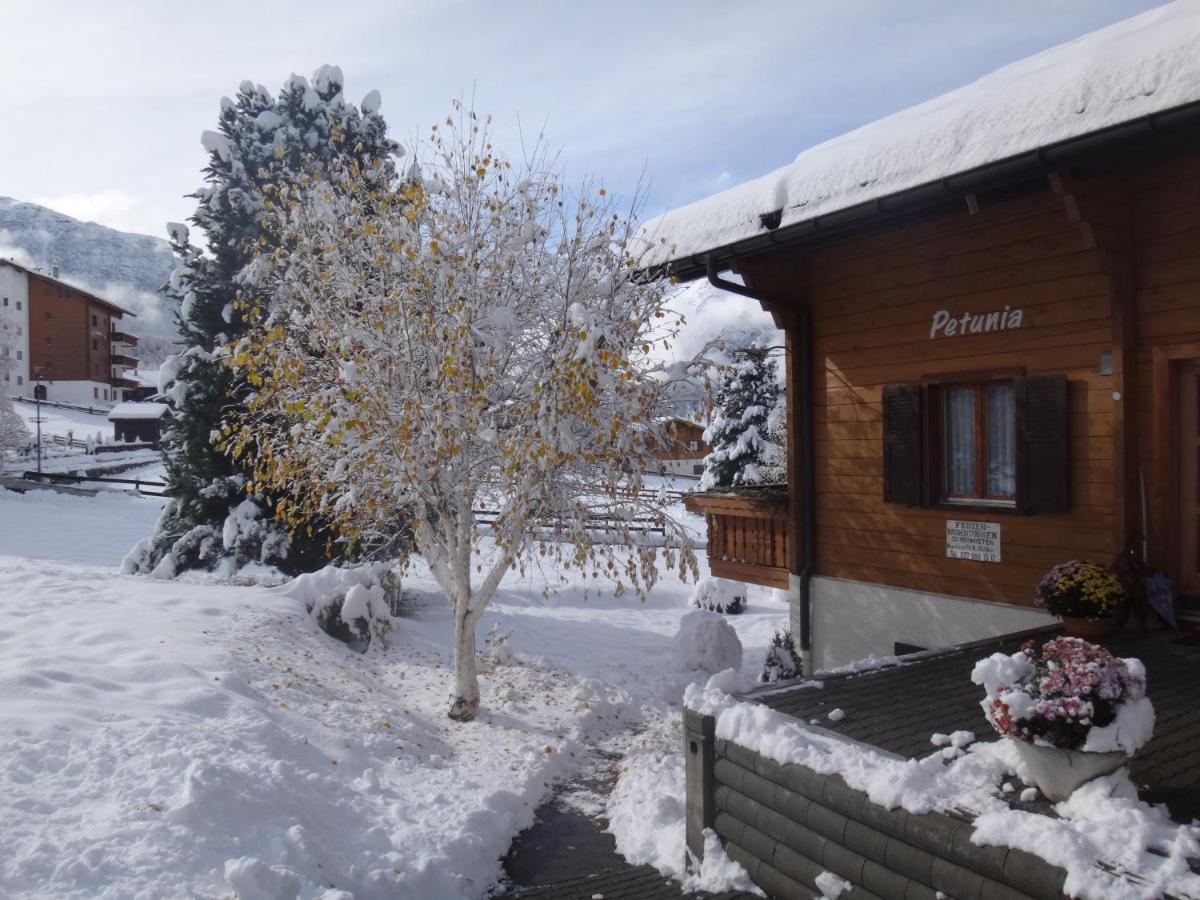 Chalet Petunia - B&B Grächen